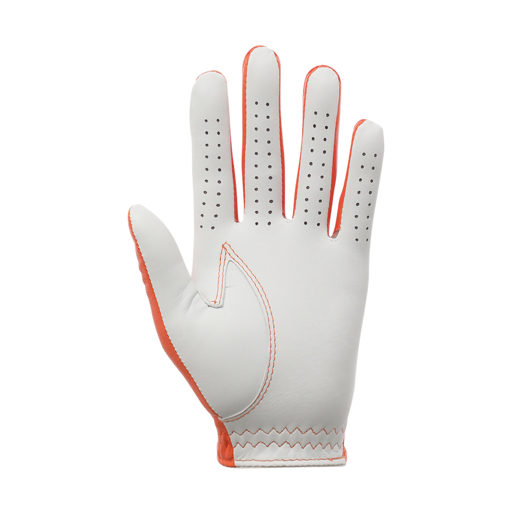 WOMEN&rsquo;S 限定モデル FJスペクトラム  ウィメンズ