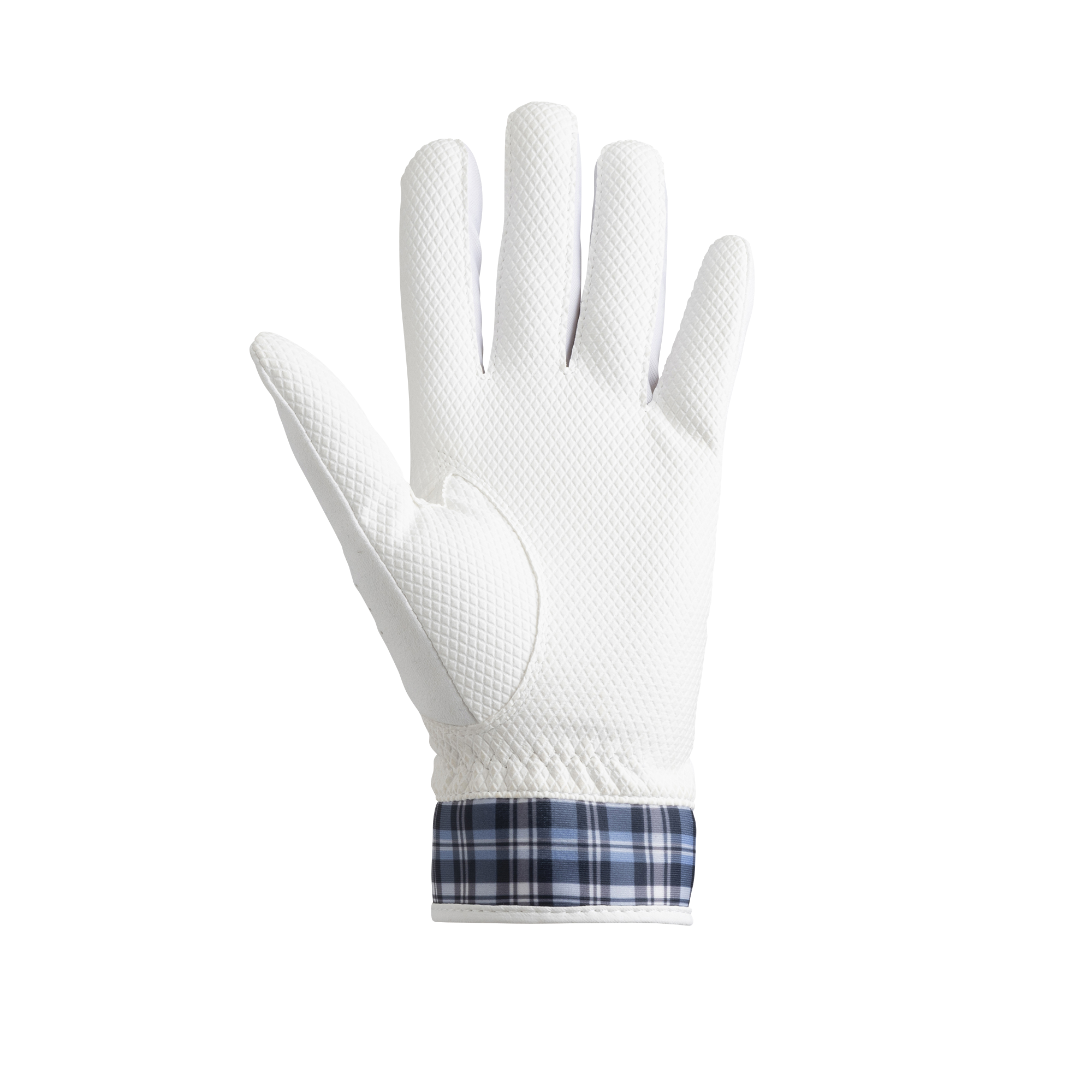 レディｅコンフォート